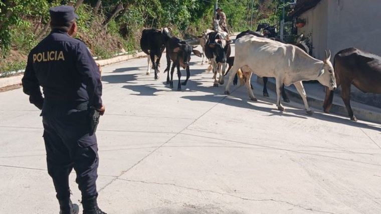 El Salvador suma 1,197 días sin homicidios con régimen de excepción